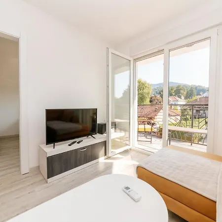Apartman Jovana Banja Koviljaca Exterior photo